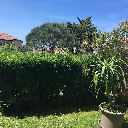 Moderne Proche Avec Jardin A - Fr-1-239-1059